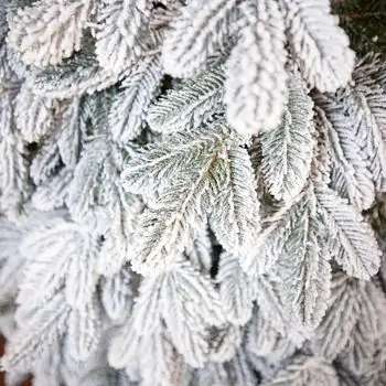 Ukrainіan Frost Snow-Covered Christmas Tree 230 CM 100 % Silicone Needle - ნაძვის ხე 100% სილიკონი, 9 image