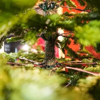 Evergreen Charm Christmas Tree 210 CM 100% Silicone - ნაძვის ხე 100 % სილიკონი, 15 image