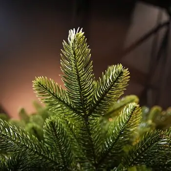 Prime Christmas Tree PE 210 CM 100 % Silicone Needle - ნაძვის ხე 100% სილიკონი, 15 image