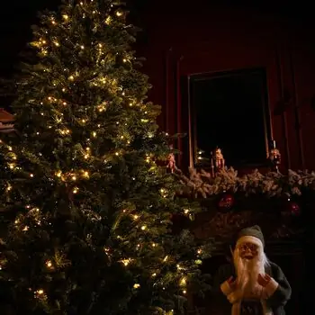 Snowdrop Christmas Tree 210 CM 100% Silicone With Lights - ნაძვის ხე 100 % სილიკონი, განათებით, 10 image