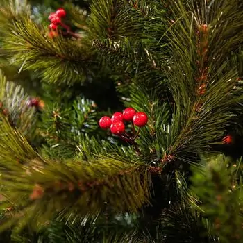Winter Pearl Christmas Tree 210 CM With Pine Cones And Berries - ნაძვის ხე გირჩით და კენკრით, 13 image