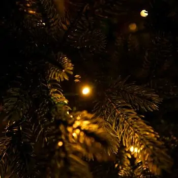 Winterlyn Christmas Tree 100% Silicone Needle With Lights PE 210 CM - ნაძვის ხე 100% სილიკონის წიწვებით და განათებით, 9 image
