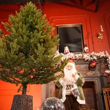 Northern Glow Christmas Tree 150 CM With Mixed Silicone Needle PE+PVC -  ნაძვის ხე შერეული სილიკონის წიწვებით, 5 image