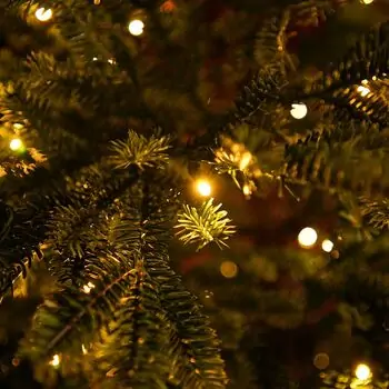 Snowdrop Christmas Tree 210 CM 100% Silicone With Lights - ნაძვის ხე 100 % სილიკონი, განათებით, 14 image