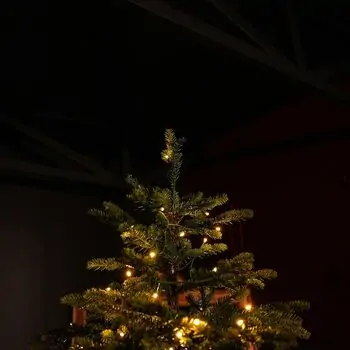 Snowdrop Christmas Tree 210 CM 100% Silicone With Lights - ნაძვის ხე 100 % სილიკონი, განათებით, 6 image