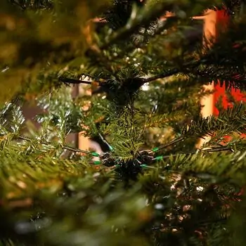 December Dream Christmas Tree PE+PVC 210 CM With Mixed Silicone Needle - ნაძვის ხე შერეული სილიკონის წიწვებით, 6 image