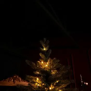Winterlyn Christmas Tree 100% Silicone Needle With Lights PE 210 CM - ნაძვის ხე 100% სილიკონის წიწვებით და განათებით, 13 image
