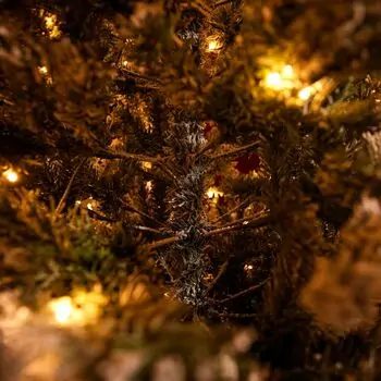 Snowhaven Christmas Tree With Lights 225 CM Snow-Covered - საახალწლო ნაძვის ხე დათოვლილი ტოტებით და განათებით, 17 image