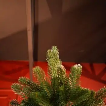 Prime Christmas Tree PE 210 CM 100 % Silicone Needle - ნაძვის ხე 100% სილიკონი, 11 image