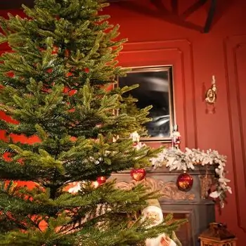 December Dream Christmas Tree PE+PVC 210 CM With Mixed Silicone Needle - ნაძვის ხე შერეული სილიკონის წიწვებით, 11 image