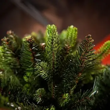 Carpathian Christmas Tree Light Green Tips 230CM PVC + PE  ნაძვის ხე შერეული სილიკონის წიწვებით, 14 image