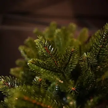 Ukrainian Christmas Tree 230 CM 100 % Silicone Needle - ნაძვის ხე 100% სილიკონი, 9 image