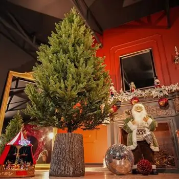 Enchanted Pine Christmas Tree PE+PVC 180 CM With Mixed Silicone Needle - ნაძვის ხე შერეული სილიკონის წიწვებით, 5 image