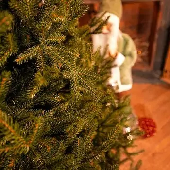 Riviera Alpine Christmas Tree 220 CM With Mixed Silicone Needle PE+PVC - ნაძვის ხე შერეული სილიკონის წიწვებით, 9 image