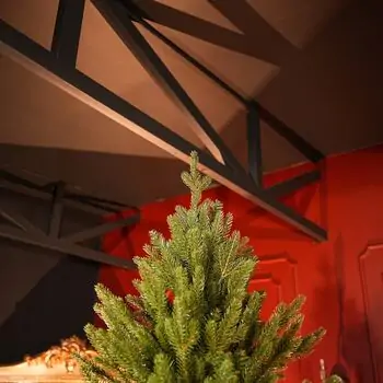 Christmas Whisper Tree PE+PVC 210 CM With Mixed Silicone Needle - ნაძვის ხე შერეული სილიკონის წიწვებით, 3 image