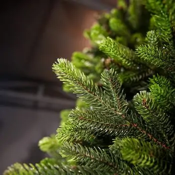 Carpathian Christmas Tree Light Green Tips 230CM PVC + PE  ნაძვის ხე შერეული სილიკონის წიწვებით, 13 image