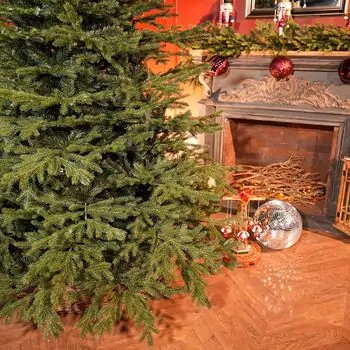 Alpina Christmas Tree 240 CM Edelweiss With Mixed Silicone Needle - ნაძვის ხე შერეული სილიკონის წიწვებით, 4 image