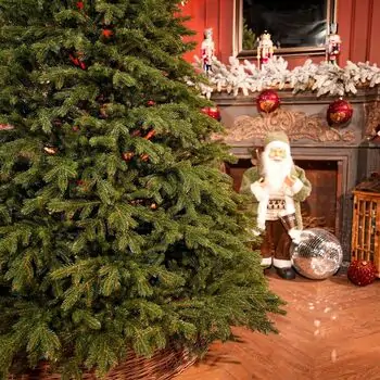 Aurepine Grand Wide Christmas Tree PE 220 CM 100 % Silicone Needle  - ნაძვის ხე 100% სილიკონი, 6 image