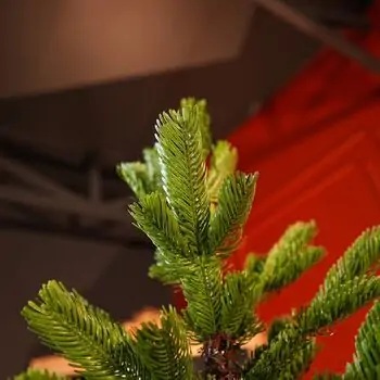 Nordic Frost Christmas Tree 100% Silicone 180 CM - ნაძვის ხე 100 % სილიკონი, 8 image
