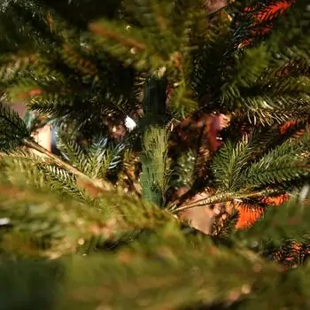 Alpine Christmas Tree PE 180 CM Green - საახალწლო ნაძვის ხე, 100 % სილიკონი, 10 image