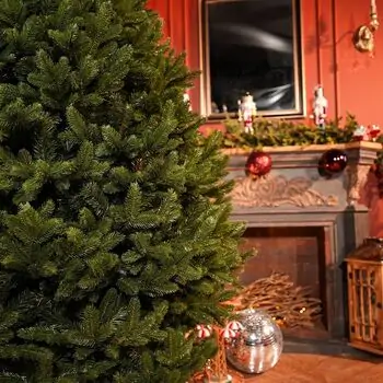 Lamelia Christmas Tree PE+PVC 220CM With Mixed Silicone Needle - ნაძვის ხე შერეული სილიკონის წიწვებით, 5 image