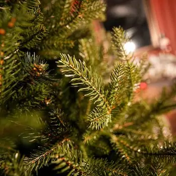 Riviera Alpine Christmas Tree 220 CM With Mixed Silicone Needle PE+PVC - ნაძვის ხე შერეული სილიკონის წიწვებით, 10 image