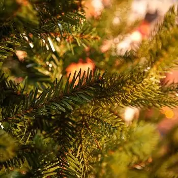Enchanted Pine Christmas Tree PE+PVC 180 CM With Mixed Silicone Needle - ნაძვის ხე შერეული სილიკონის წიწვებით, 13 image