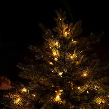 Winterlyn Christmas Tree 100% Silicone Needle With Lights PE 210 CM - ნაძვის ხე 100% სილიკონის წიწვებით და განათებით, 7 image