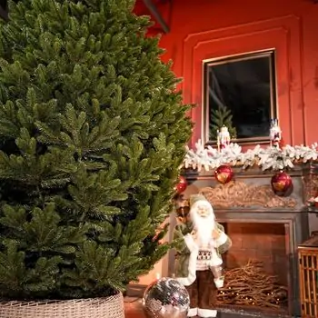 Lamelia Christmas Tree PE+PVC 240CM With Mixed Silicone Needle - ნაძვის ხე შერეული სილიკონის წიწვებით, 5 image