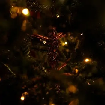 Elowyn Christmas Tree 100% Silicone With Lights 180 CM - ნაძვის ხე 100 % სილიკონი, განათებით, 13 image