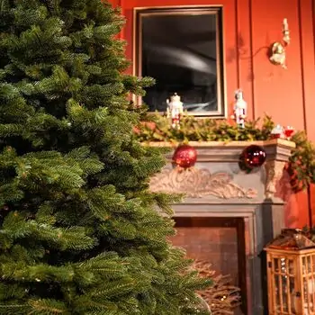 Prime Christmas Tree PE 210 CM 100 % Silicone Needle - ნაძვის ხე 100% სილიკონი, 7 image