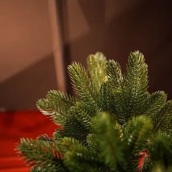 Prime Christmas Tree PE 210 CM 100 % Silicone Needle - ნაძვის ხე 100% სილიკონი, 10 image