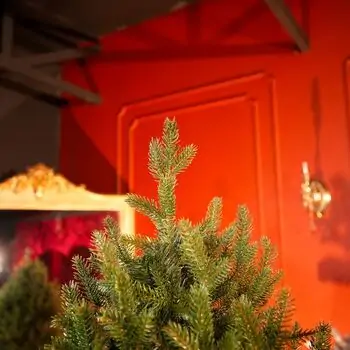 Riviera Alpine Christmas Tree 180 CM With Mixed Silicone Needle PE+PVC - ნაძვის ხე შერეული სილიკონის წიწვებით, 3 image