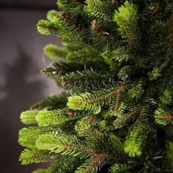 Carpathian Christmas Tree Light Green Tips 230CM PVC + PE  ნაძვის ხე შერეული სილიკონის წიწვებით, 8 image
