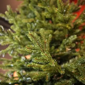 Alpina Christmas Tree 240 CM Edelweiss With Mixed Silicone Needle - ნაძვის ხე შერეული სილიკონის წიწვებით, 10 image