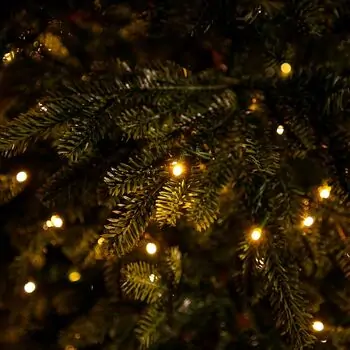 Elowyn Christmas Tree 100% Silicone With Lights 180 CM - ნაძვის ხე 100 % სილიკონი, განათებით, 9 image