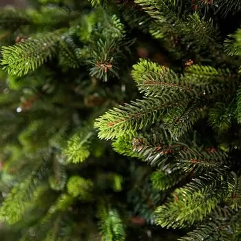 Carpathian Christmas Tree Light Green Tips 230CM PVC + PE  ნაძვის ხე შერეული სილიკონის წიწვებით, 11 image