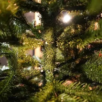 Ukrainian Christmas Tree 230 CM 100 % Silicone Needle - ნაძვის ხე 100% სილიკონი, 13 image