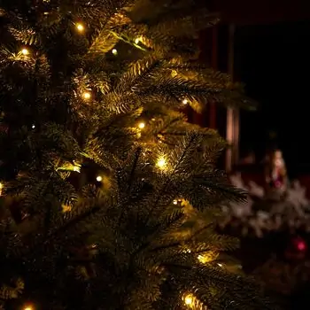 Winterlyn Christmas Tree 100% Silicone Needle With Lights PE 210 CM - ნაძვის ხე 100% სილიკონის წიწვებით და განათებით, 8 image