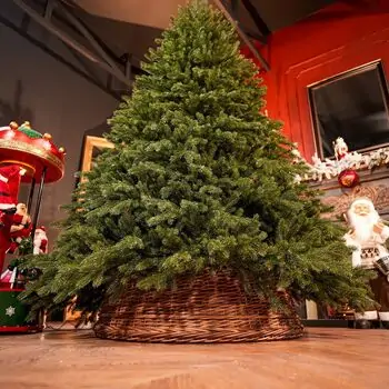 Aurepine Grand Wide Christmas Tree PE 220 CM 100 % Silicone Needle  - ნაძვის ხე 100% სილიკონი, 12 image