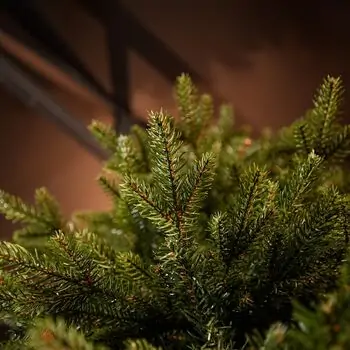 Riviera Alpine Christmas Tree 260 CM With Mixed Silicone Needle PE+PVC- ნაძვის ხე შერეული სილიკონის წიწვებით, 7 image