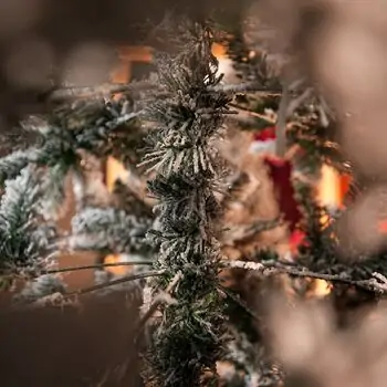 Snowy Belle Christmas Tree 270 CM საახალწლო ნაძვის ხე დათოვლილი ტოტებით, 12 image