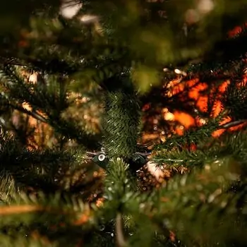 Aurepine Grand Wide Christmas Tree PE 220 CM 100 % Silicone Needle  - ნაძვის ხე 100% სილიკონი, 13 image
