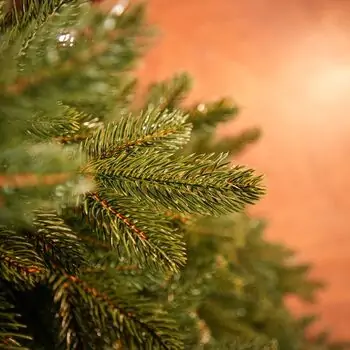 Ukrainian Prime Christmas Tree 100 % Silicone Needle 250 CM - ნაძვის ხე 100% სილიკონი, 11 image