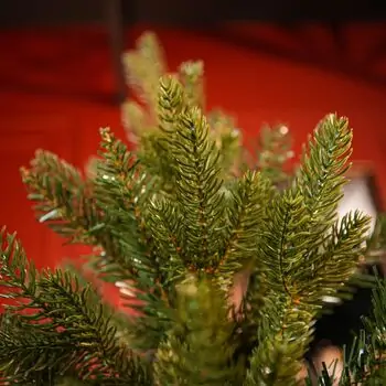 Northern Glow Christmas Tree 150 CM With Mixed Silicone Needle PE+PVC -  ნაძვის ხე შერეული სილიკონის წიწვებით, 13 image