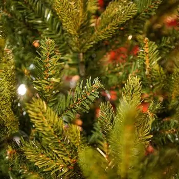 Christmas Whisper Tree PE+PVC 210 CM With Mixed Silicone Needle - ნაძვის ხე შერეული სილიკონის წიწვებით, 13 image