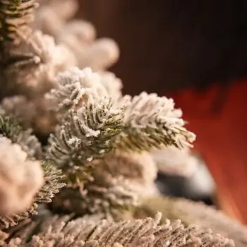 Ukrainіan Frost Snow-Covered Christmas Tree 230 CM 100 % Silicone Needle - ნაძვის ხე 100% სილიკონი, 10 image