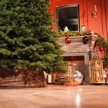 Ukrainian Prime Christmas Tree 100 % Silicone Needle 250 CM - ნაძვის ხე 100% სილიკონი, 5 image