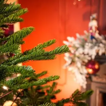 Nordic Frost Christmas Tree 100% Silicone 180 CM - ნაძვის ხე 100 % სილიკონი, 7 image