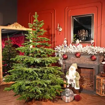 Evergreen Charm Christmas Tree 210 CM 100% Silicone - ნაძვის ხე 100 % სილიკონი